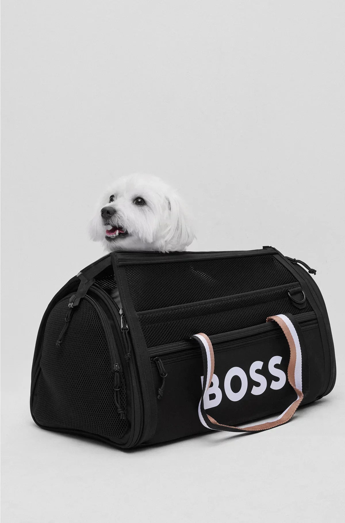 DOG TRAVEL BAG WITH QUILTED MAT